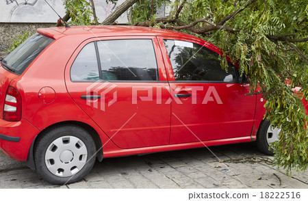 Car smashed by high winds Car smashed by high winds 18222516