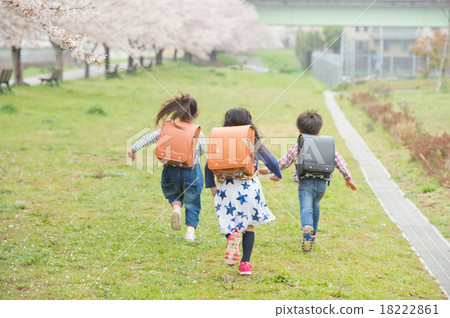 Sakura and elementary school student 18222861