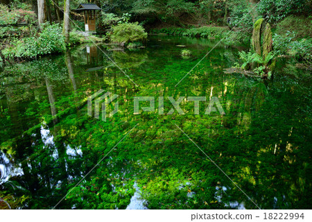 Ikeyama water source 18222994