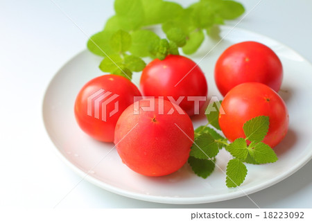 蕃茄 蕃茄 18223092