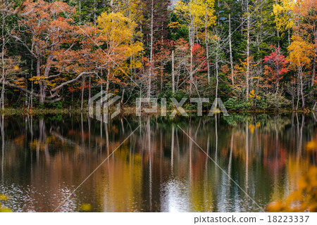 Water surface where autumn appears Water surface where autumn appears 18223337