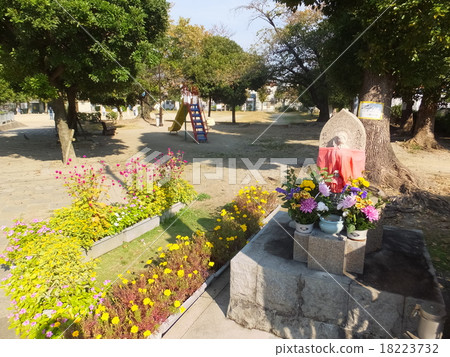 Osamu Osamu先生被鮮花包圍 18223732