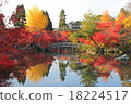 The view of autumnal leaves of Eikendo 18224517