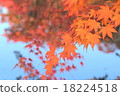 Autumn leaves on the pond of Eiken temple 18224518
