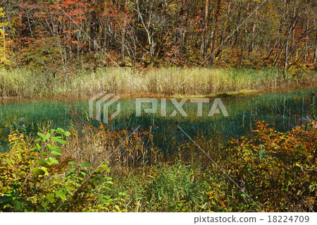 Ginzanuma Akan 18224709