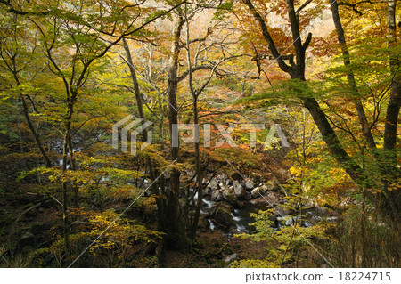 From the trekking course to the lightning waterfall and the roar breeze waterfall (autumn) 18224715