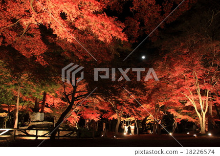 埼玉Nagatomo Moon的石頭Momiji公園 18226574