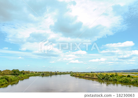 流動在越後平原的稻田的信濃河 18230063