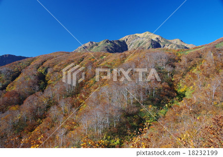 Autumn leaves of Echigo Komagatake 18232199