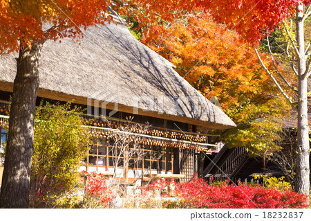 秋季葉子和草皮屋頂 18232837