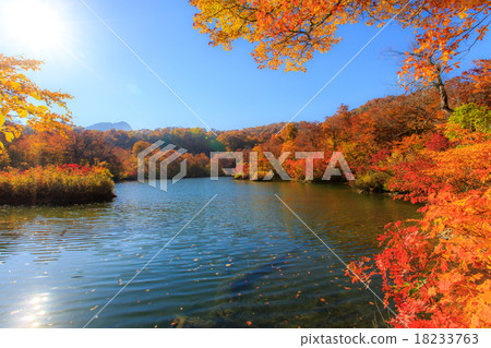 秋葉和Kamoike 8 18233763