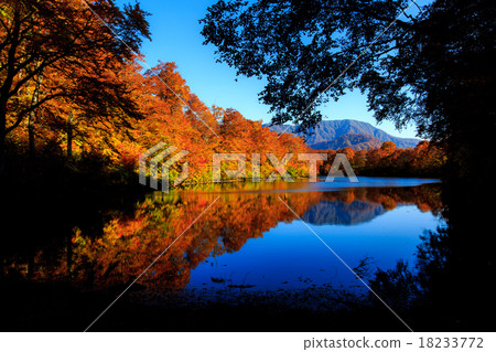 Autumn leaves and Kamii pond 17 18233772