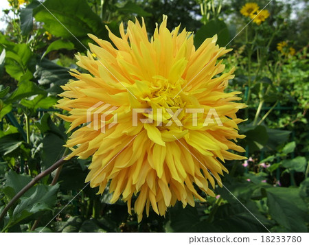 莫奈之家吉維尼4 18233780