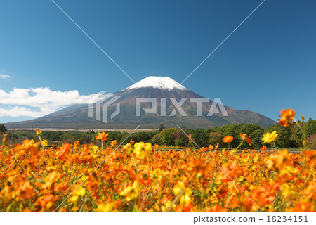 首先擁擠的富士山和Kivanakosmos 18234151