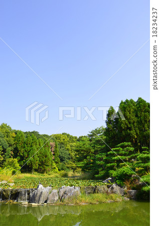 Landscape at the waterside 18234237