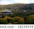 Autumn leaves of the Nara Buddha statue 18234558