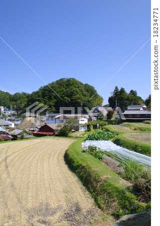 Nishinomiya Nishinomiya City Funaka Pass村北部/早秋/收穫季節/ Hyogo ken Nishinomiya市山口町Kuronosaka 18234771
