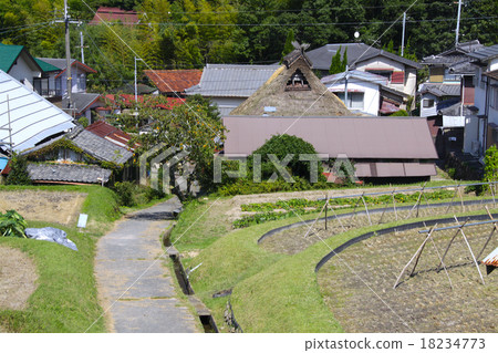 Nishinomiya Nishinomiya City Funaka Pass村北部/早秋/收穫季節/ Hyogo ken Nishinomiya市山口町Kuronosaka Nishinomiya Nishinomiya City Funaka Pass村北部/早秋/收穫季節/ Hyogo ken Nishinomiya市山口町Kuronosaka 18234773