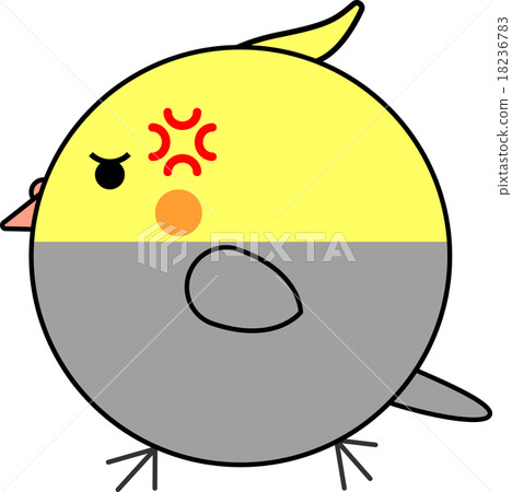Maruko (cockatiel) 18236783