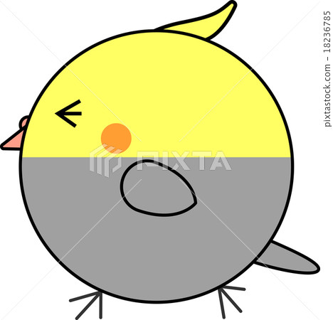 Maruko (cockatiel) 18236785