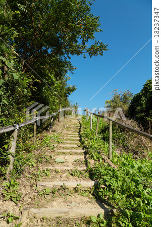 Hiking trail 18237347