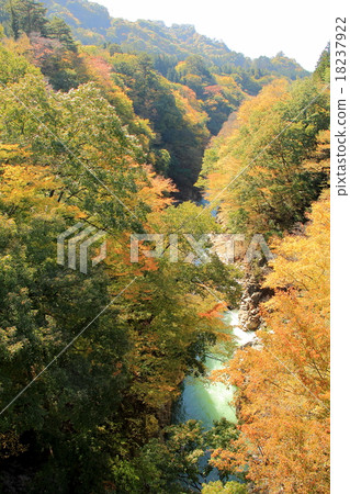Agatsumaya valley (Gunma) 18237922