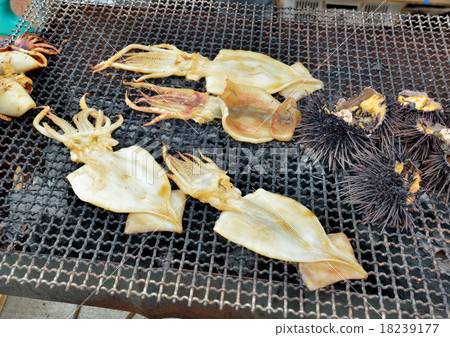 Grilled squid 18239177