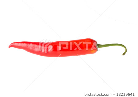 pepper red isolated 18239641