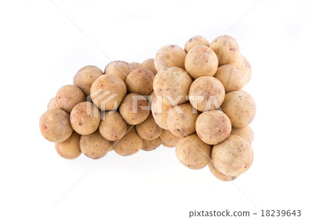 longkong tropical fruit on white background longkong tropical fruit on white background 18239643