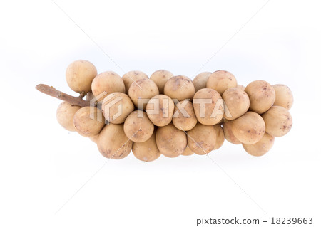 longkong tropical fruit on white background longkong tropical fruit on white background 18239663