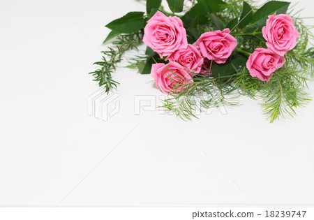 flower arrangement  18239747