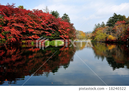 Autumn leaves of the Karuizawa Yunobashi pond in the autumn of Nagano Prefecture 18240322