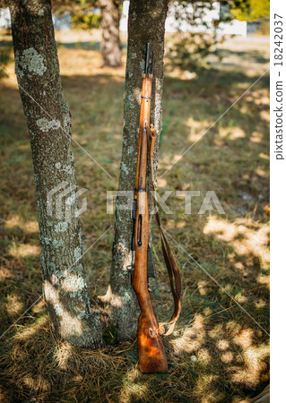 Old soviet rifle of World War II leaning against 18242037