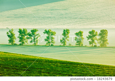 Moravian rolling landscape in early morning 18243679