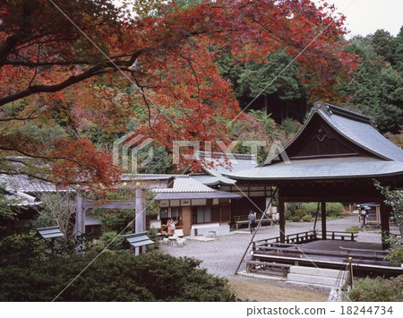 Hyuga Ojinjinga Hyuga Ojinjinga 18244734