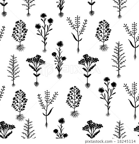Herbarium flowers with roots, seamless pattern 18245114