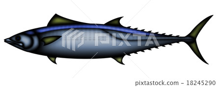馬鮫魚 馬鮫魚 18245290