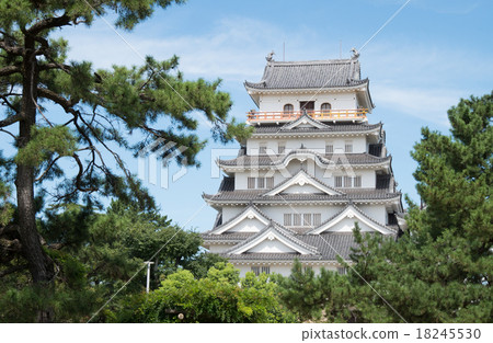 松樹中閃耀的福山城的城堡塔 18245530