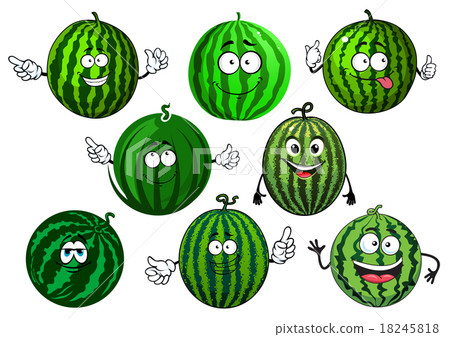 Cartoon green striped watermelon fruits Cartoon green striped watermelon fruits 18245818