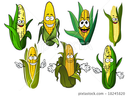 Cartoon corn cobs with golden grains Cartoon corn cobs with golden grains 18245820
