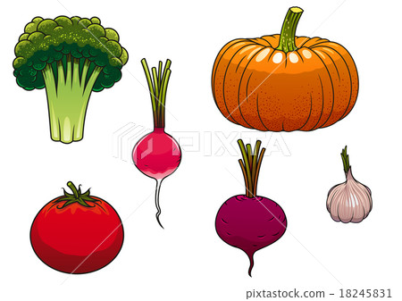 Fresh and ripe farm vegetables 18245831