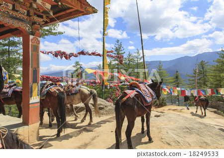 Bhutan, a horse walking way to the Taktzan monastery Bhutan, a horse walking way to the Taktzan monastery 18249533