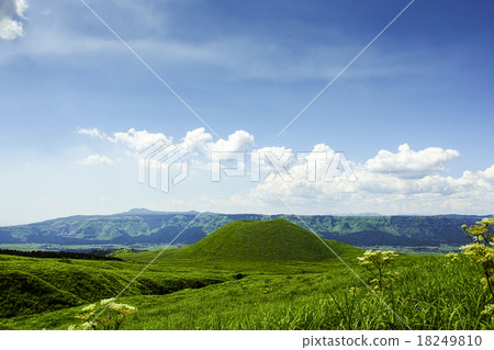 麻生Yonezuka 18249810