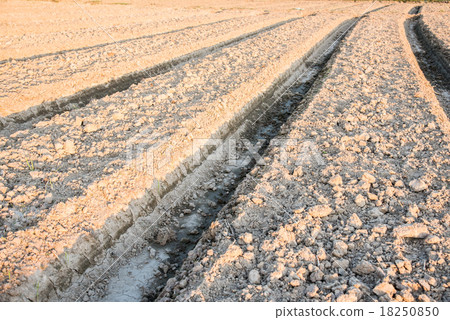 New make Agricultural land New make Agricultural land 18250850
