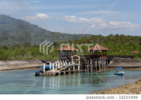 Indonesian landscape with mangrove Indonesian landscape with mangrove 18255499