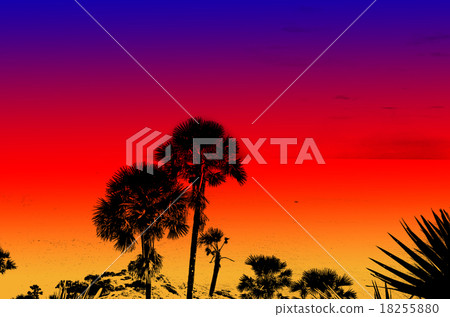 Phromthep cape at sunset Phuket 18255880