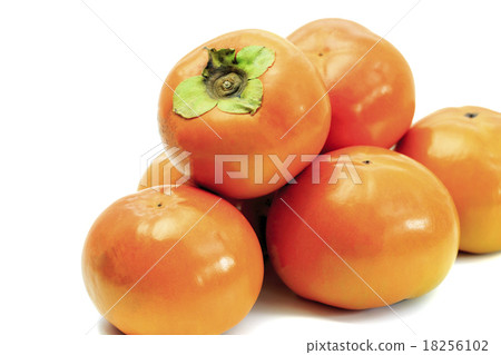 Persimmon named Fruit Persimmon Taiku Fuuku Persimmon named Fruit Persimmon Taiku Fuuku 18256102