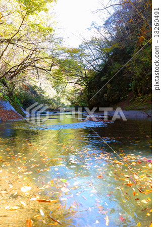 Clear flow Abukuma river - early fall 2015 Clear flow Abukuma river - early fall 2015 18260491