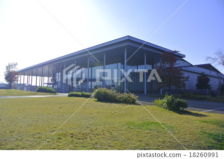 Foreign Dynasty Foreign Dynasty 18260991