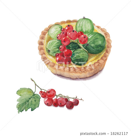 Detailed watercolor illustration of berry tartlet 18262117